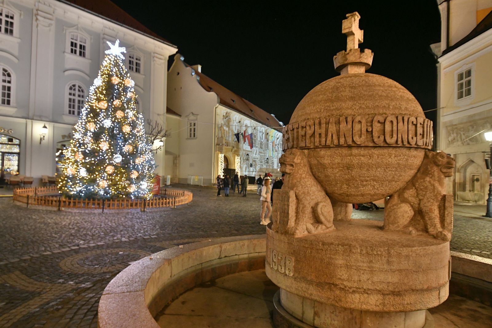 Milyen lesz Fehérvár karácsonyfája? - idén is várja a felajánlásokat a Városgondnokság